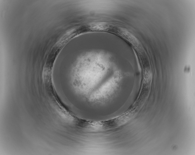 X0000093370409200711011233