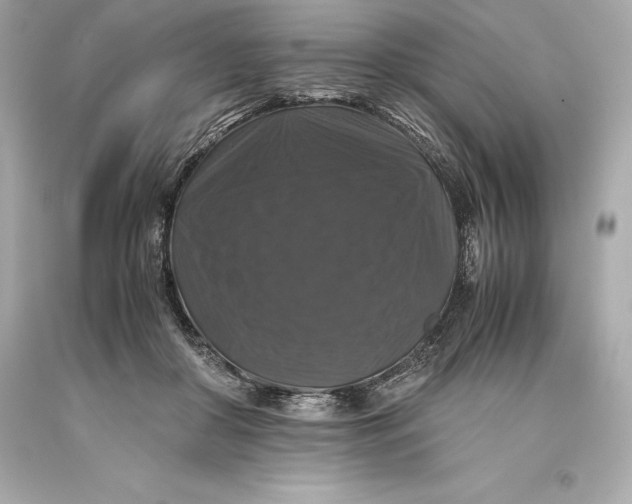 X0000093370410200711011233