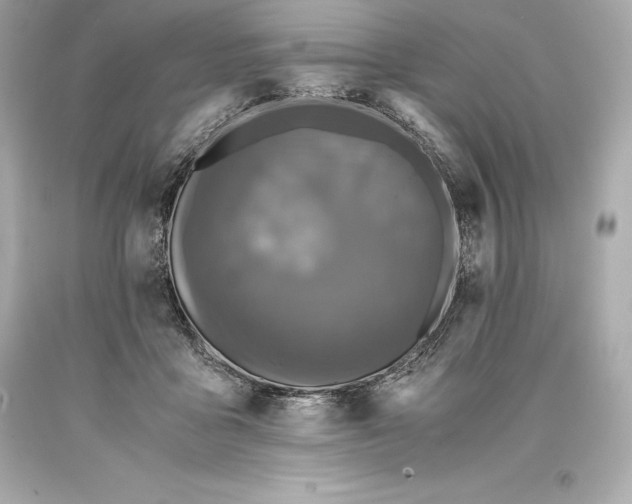 X0000093370411200711011233