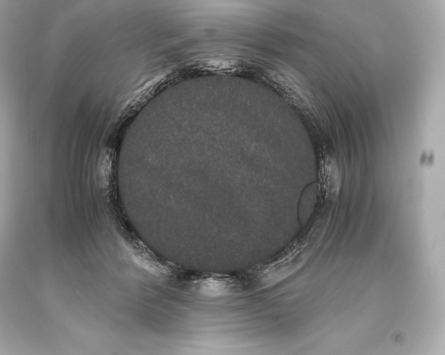 X0000093370412200711011233