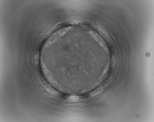 X0000093370413200711011233