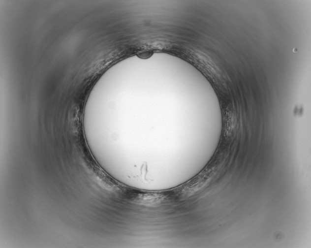 X0000093370414200711011233