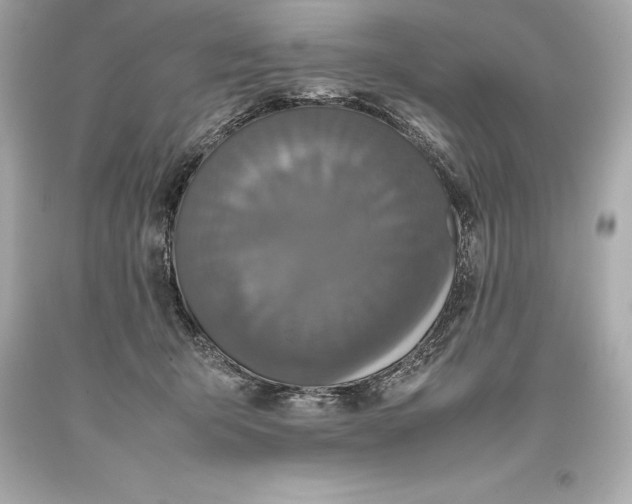 X0000093370415200711011233