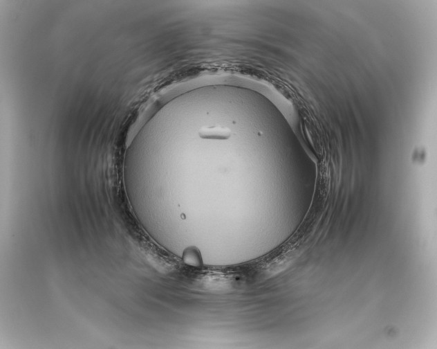 X0000093370416200711011232