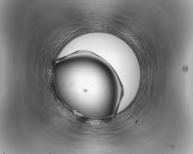 X0000093370417200711011232