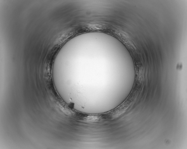 X0000093370418200711011232