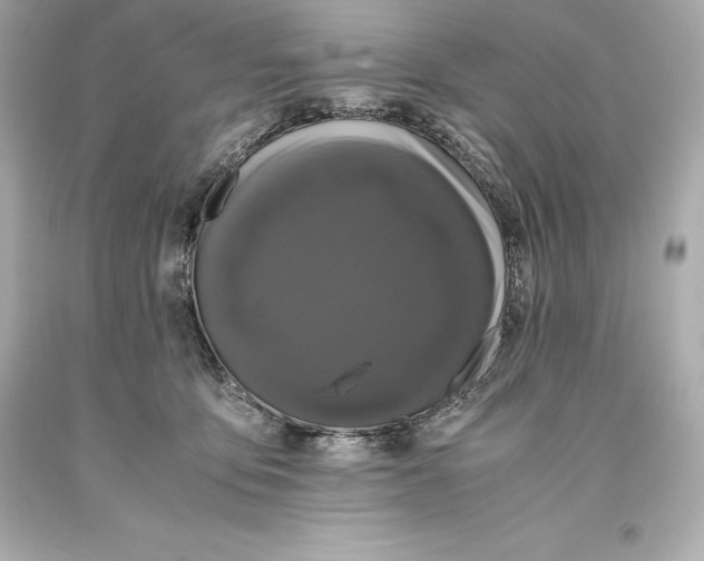 X0000093370419200711011232