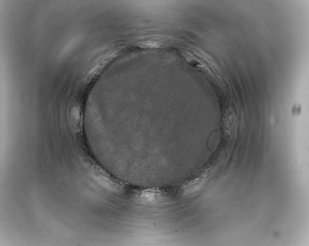 X0000093370420200711011232