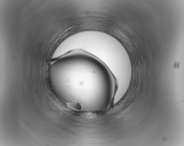 X0000093370421200711011232