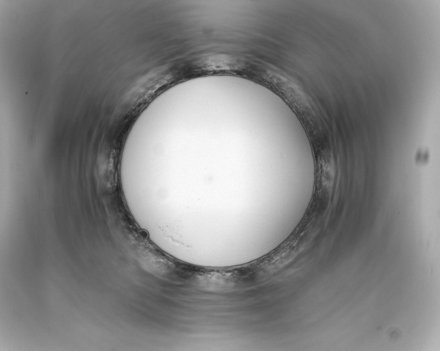 X0000093370422200711011232