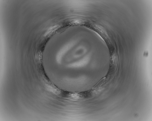 X0000093370423200711011232