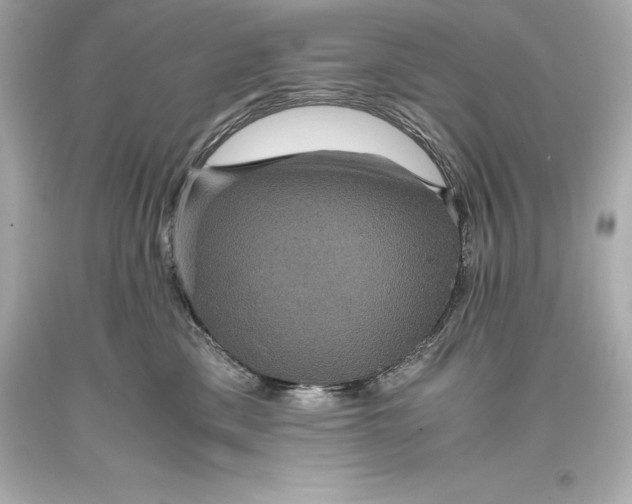 X0000093370425200711011232