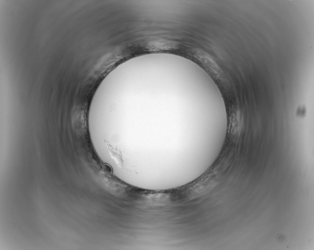 X0000093370426200711011232