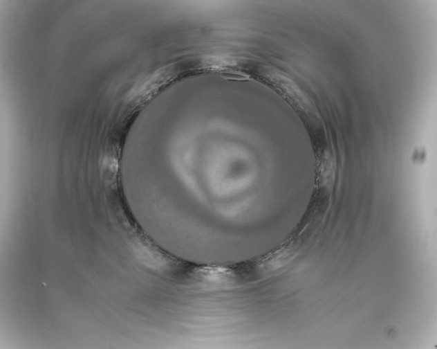 X0000093370427200711011232