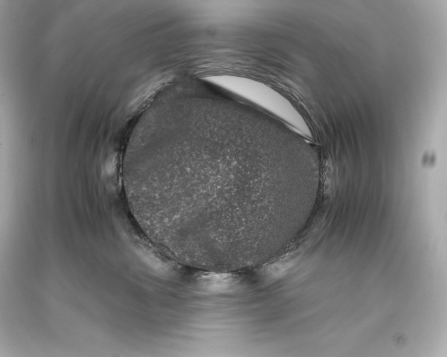 X0000093370428200711011232