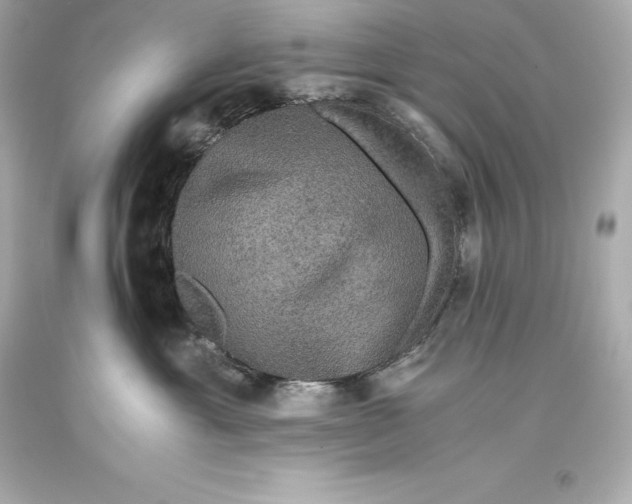 X0000093370429200711011232