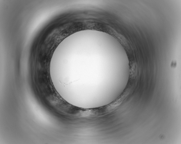 X0000093370430200711011232