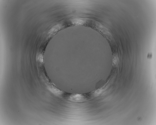 X0000093370431200711011232