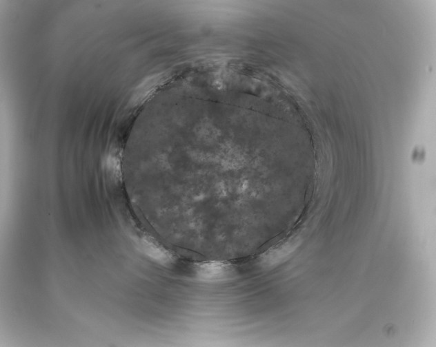 X0000093370432200711011232