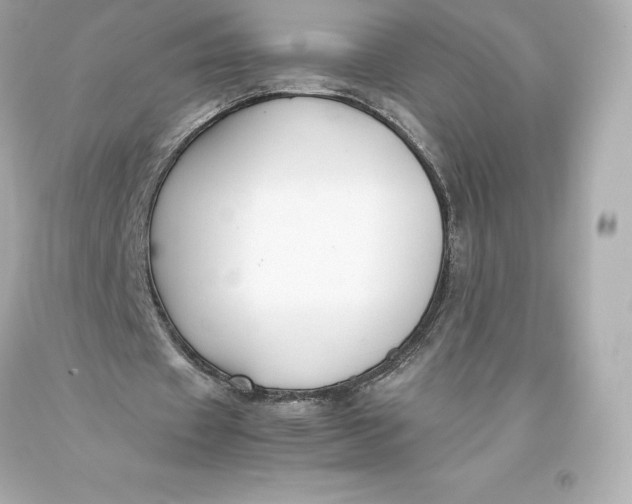 X0000093370433200711011232