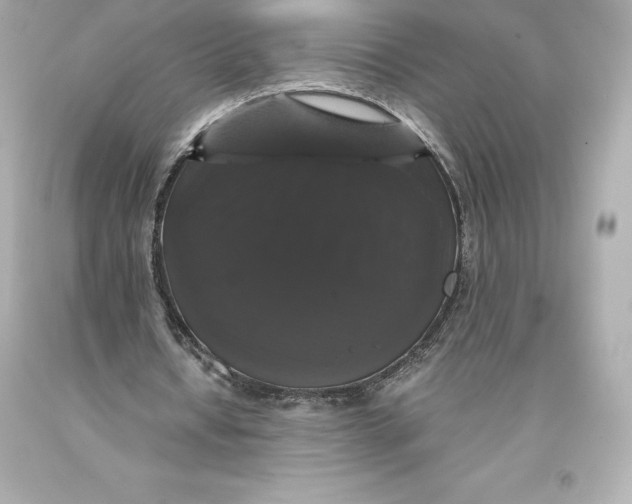 X0000093370434200711011232