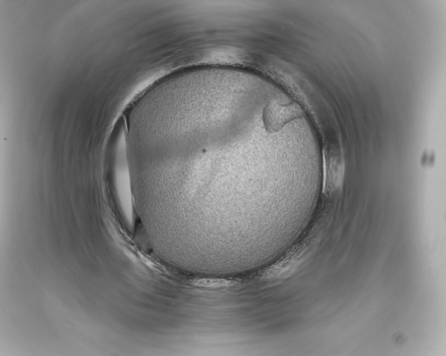 X0000093370435200711011232