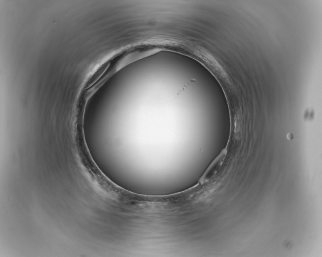 X0000093370436200711011232