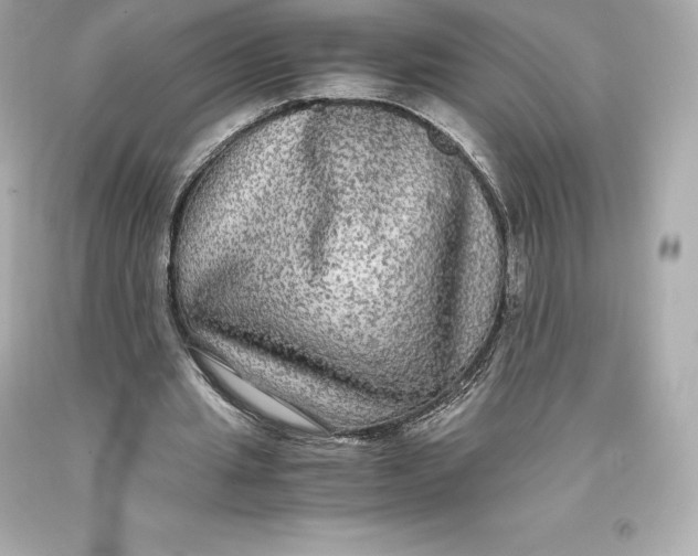 X0000093370437200711011232