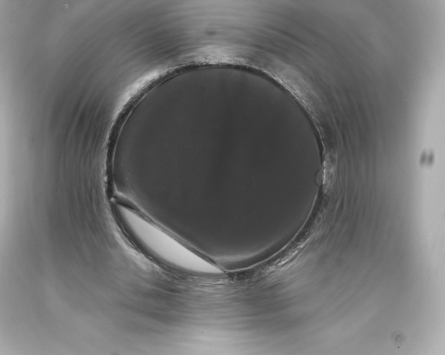 X0000093370438200711011232