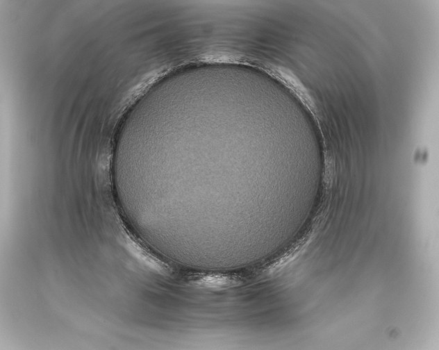 X0000093370441200711011232