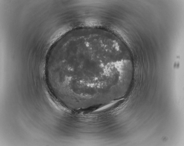 X0000093370443200711011232