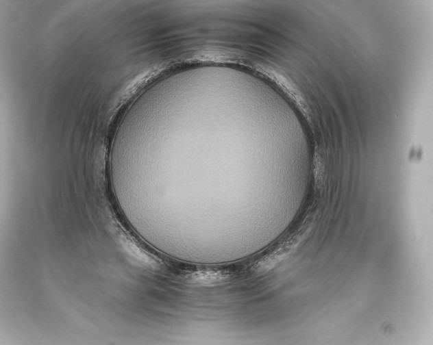 X0000093370445200711011232