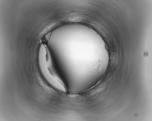 X0000093370446200711011232