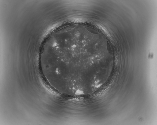 X0000093370447200711011232