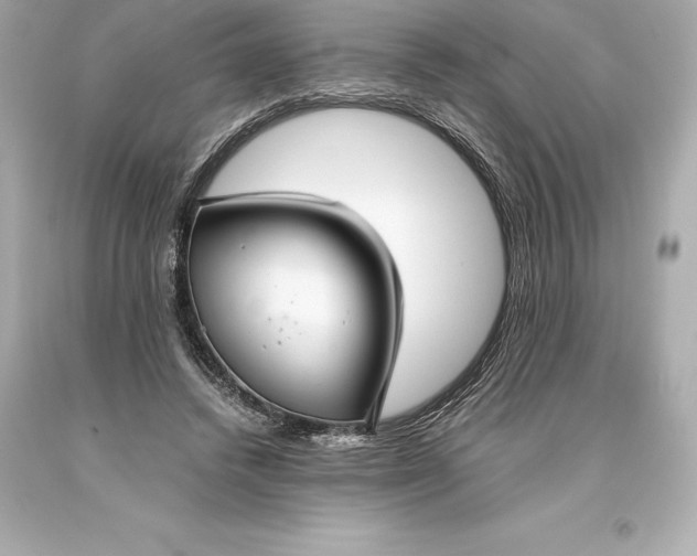 X0000093370448200711011232