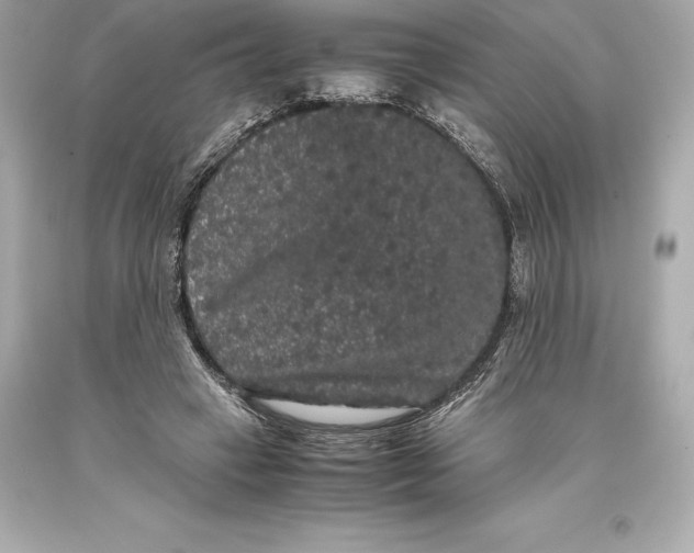 X0000093370449200711011232