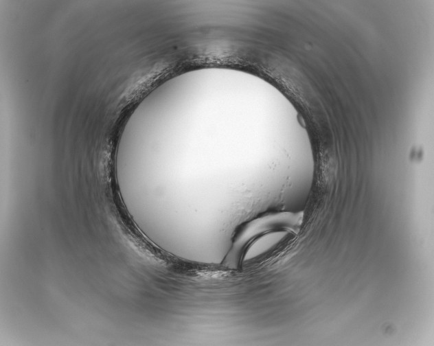 X0000093370450200711011232