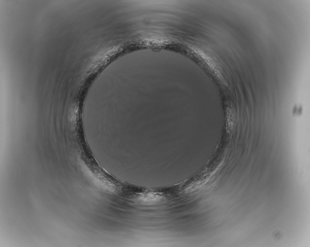 X0000093370451200711011232