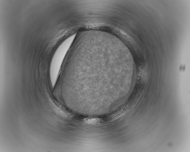 X0000093370452200711011232