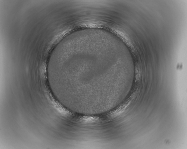 X0000093370453200711011232