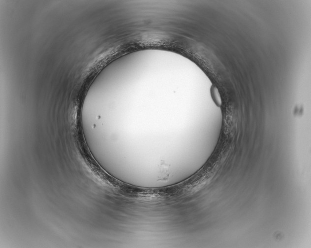 X0000093370454200711011232