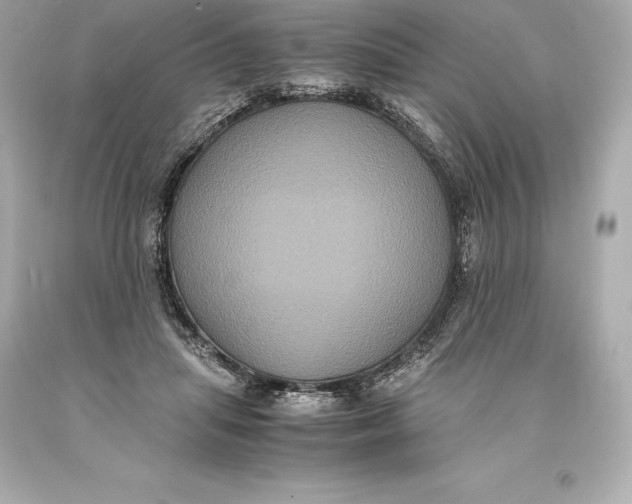 X0000093370455200711011232