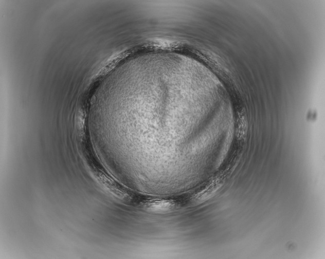 X0000093370456200711011232