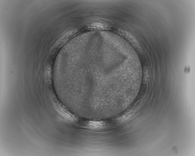 X0000093370457200711011232