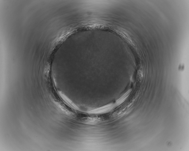 X0000093370458200711011232