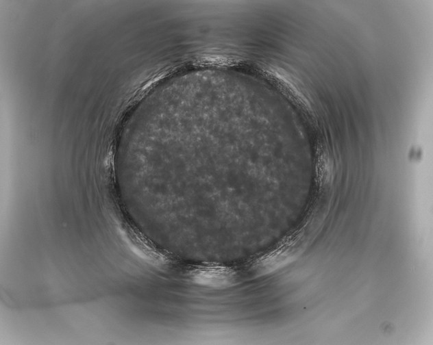 X0000093370459200711011232