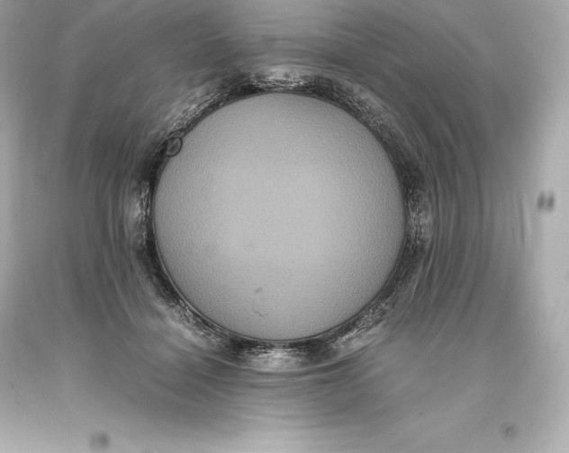 X0000093370460200711011232