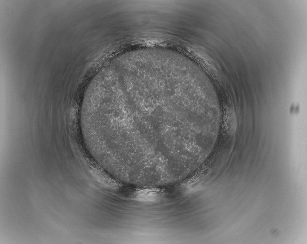 X0000093370461200711011232