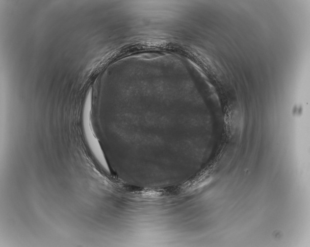 X0000093370462200711011232