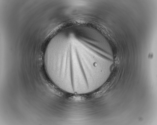 X0000093370464200711011232